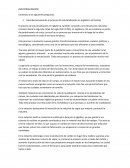 Industrializacion