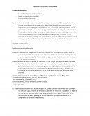 PROPUESTA CUENTOS CON LOBOS