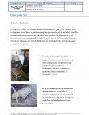 Caso práctico empresa PAN&PICO