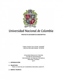 PROYECTO ESTADÍSTICA DESCRIPTIVA. Página 1