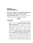 MINUTA DE MEMORIAL DE PRUEBA EN PROCESO DE AMPARO