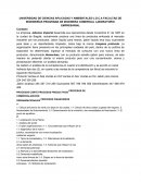 La empresa ​Jabones Imperial