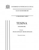 VAPORIZADORES PERSONALES, UNA ALTERNATIVA MAS SALUDABLE