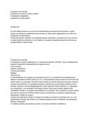 Desarrollo del neonato