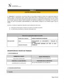 Las organizaciones tienen culturas uniformes