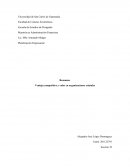 Ventaja competitiva y valor en organizaciones estatales