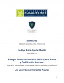 EVOLUCIÓN HISTÓRICA DEL PROCESO. ROMA Y CODIFICACIÓN FRANCESA