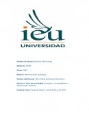 Análisis Del Resultado y Rentabilidad