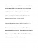 Defina gestion organizacional