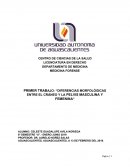 Diferencias morfológicas entre el cráneo y la pelvis masculina y femenina