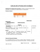 Calculo de produccion Ecologica