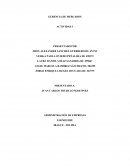 Implementación de estrategias de marketing para la captación de clientes de la Unibague