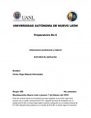 Información profesional y laboral Actividad de aplicación