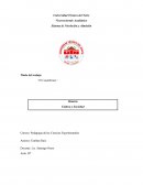 Título del trabajo: “El Caudillismo”