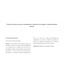 El amor por los perros