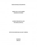 REDES NEURONALES RECURRENTES