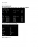 Trabajo. Revisión de privilegios de usuario