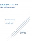 MEDIO AMBIENTE. Gestión Ambiental