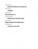 Mercado meta. Leche LALA