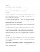 Práctica N° 4 Transformaciones de la materia