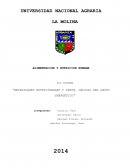 Necesidades nutricionales y dieta. Cálculo del gasto energético