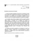 Entendiendo la estructura de la industria