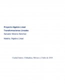 Proyecto Algebra Lineal Transformaciones Lineales