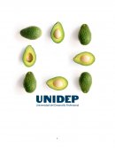 SEMINARIO DE MERCADOTECNIA