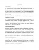 Caso de estudio Crocs