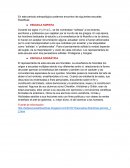 Escuelas del Periodo Antropológico