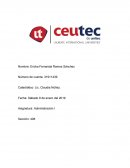 Plan operativo anual