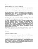 Pequeño cerdo capitalista resumen