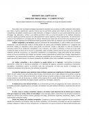 ANÁLISIS INDUSTRIAL Y COMPETITIVO