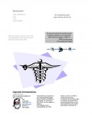 Capsulas farmaseuticas Nombramientos