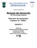 Biología del desarrollo. Oido externo