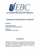 Programa de formación en la empresa