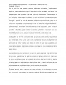 En mi escultura me expreso creando diferentes volúmenes y conformando espacios, para conformar mi tigre