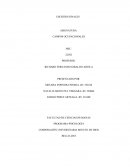 DIAGNÓSTICO E INTERVENCIÓN EDUCATIVA