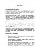 WACH-TEMP DESCRIPCIÓN DEL NEGOCIO