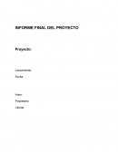 Informe del Gerente de Proyecto