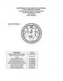 Carreras de Administración de Empresas y Contaduría Pública y Auditoría