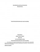 Plan de Mercadeo Electrónico para cunas Lovely Baby