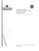 Evidencia 2 desarrollo humano