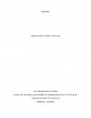 Administración de negocios. Resumen videos