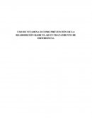 USO DE VITAMINA D COMO PREVENCIÓN DE LA REABSORCIÓN RADICULAR EN TRATAMIENTO DE ORTODONCIA