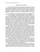 OBSERVACIÓN DE UN NIÑO