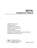 SEITAI Cuaderno de trabajo