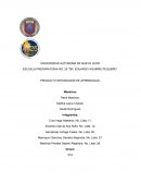 PIA tecer semestre "La migracion"