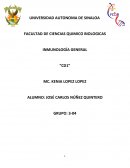 MOLECULA PRESENTADORA DE ANTIGENO CD1