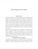 Cambio Estratégico para entornos Turbulentos